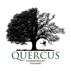 Quercus