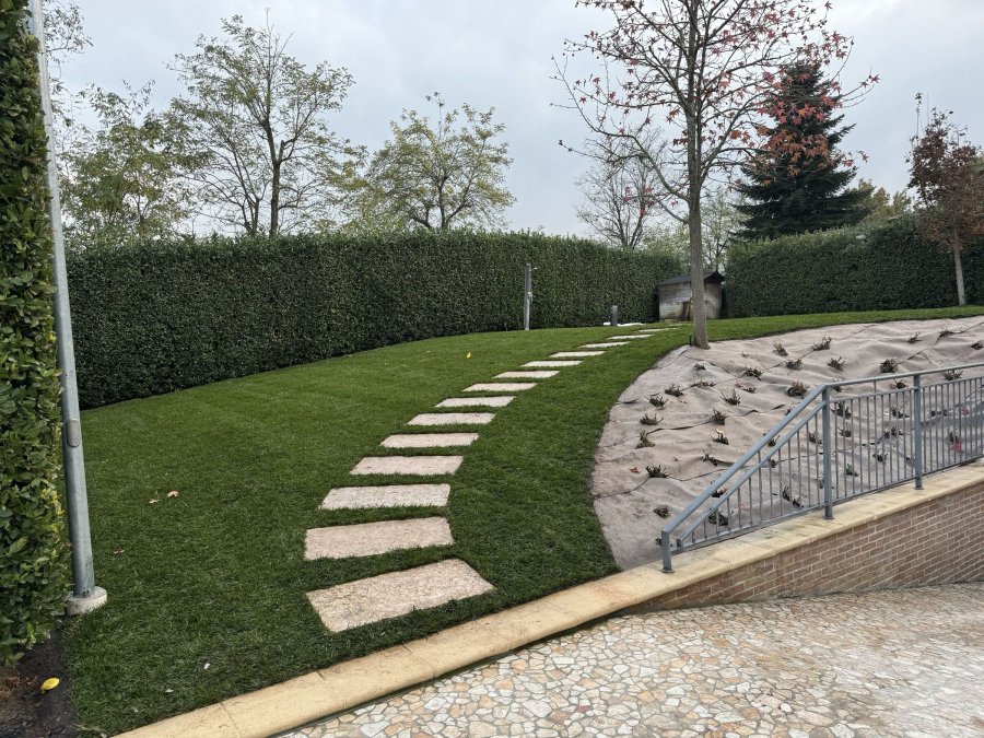 Semina prato Arsnaturae