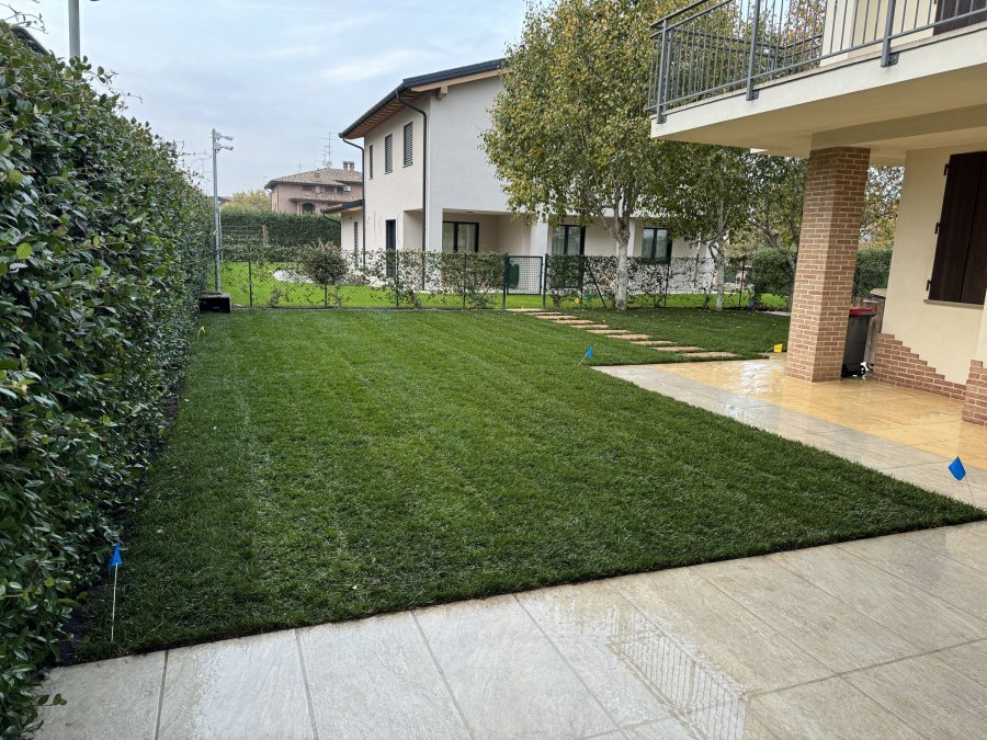 Semina prato Arsnaturae