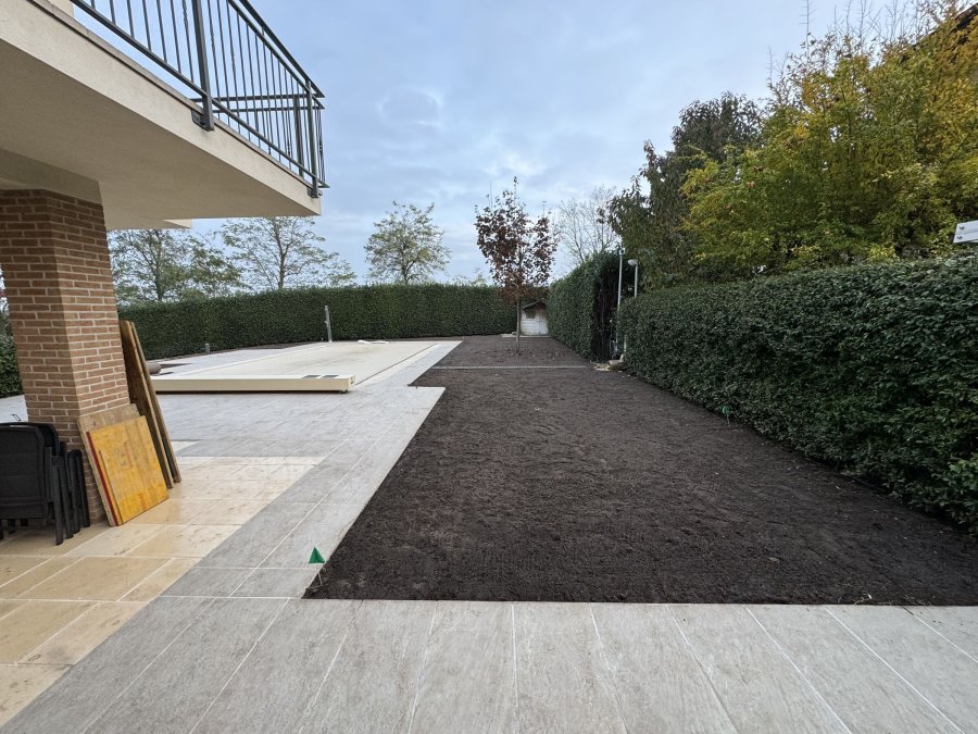 Semina prato Arsnaturae