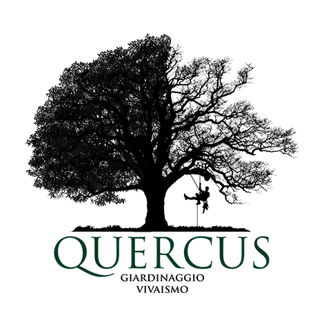 logo_quercus